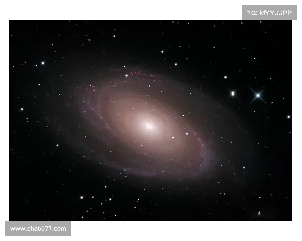 普尼真身攻略:秘境探寻,星际奇遇 普尼真身攻略:秘境探寻,星际奇遇