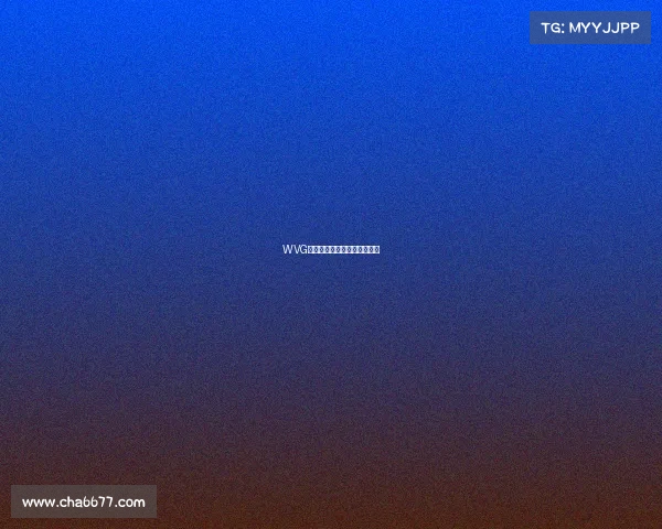 WVG战队整装待发，新赛季引热议